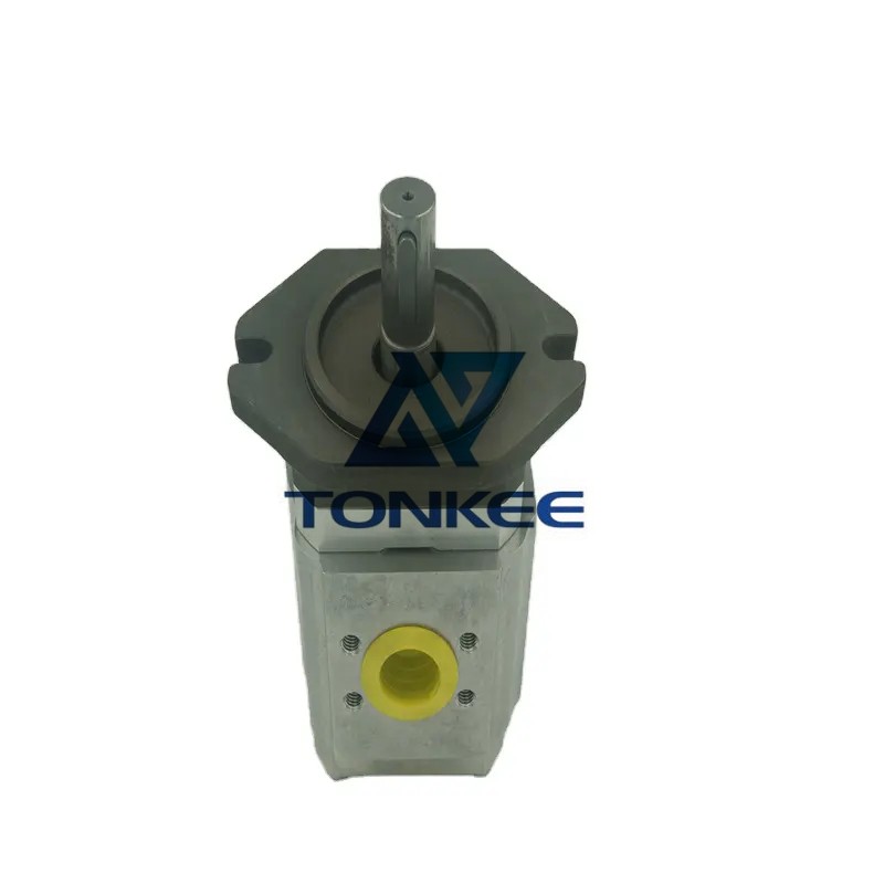buy Hydraulic Pump CBQZ Series Automobile Tail Plate Special Gear Pump CBQZ-0.8F CBQZ-1.2F CBQZ-1.6F CBQZ-2.0F CBQZ-2.5F Gear Pump_Excavator Hydraulics, Diesel Engine, SKS Hydraulic