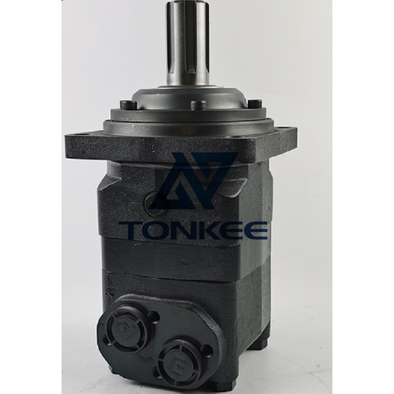 OEM Cast Iron Black High Torque Low Speed BMS-160 Oms160 Cycloidal Hydraulic Motor Factory Outlet