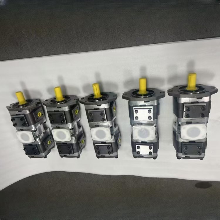 OEM IPVP5-32/40/50/64-101 IPVS5-32/40/50/64-101 IPV5-32-101 IPH5-40/64 IPC6-64/80/100-101 Hochdruck-Innenzahnrad-Hydraulikpumpen